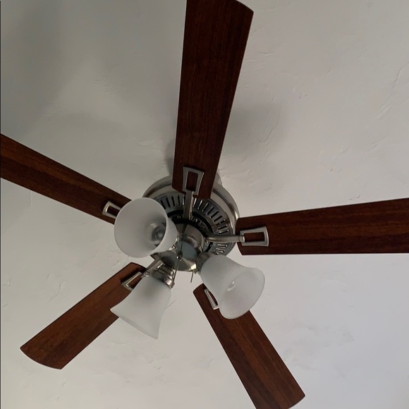 Meet your Posher, Joey - Picture 1 of 1